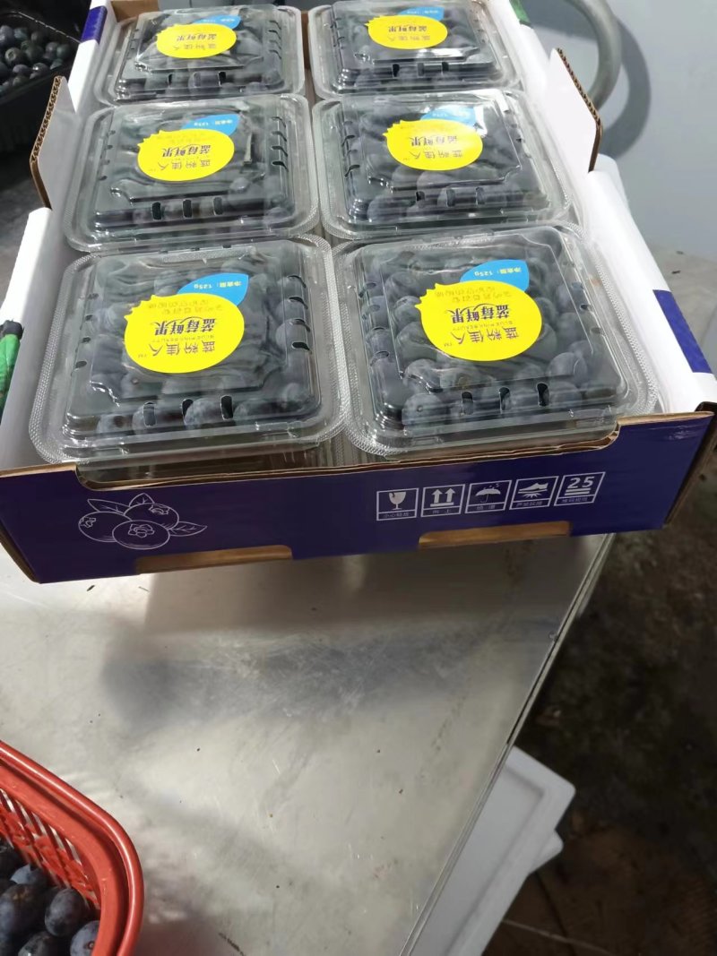 蓝莓鲜果精包装产基地地一件代发顺风包邮包售后量大电联