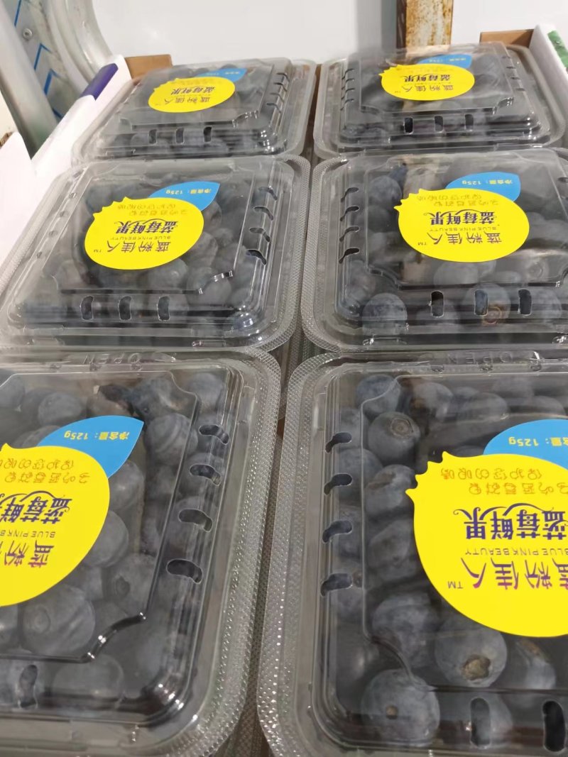 蓝莓鲜果精包装产基地地一件代发顺风包邮包售后量大电联