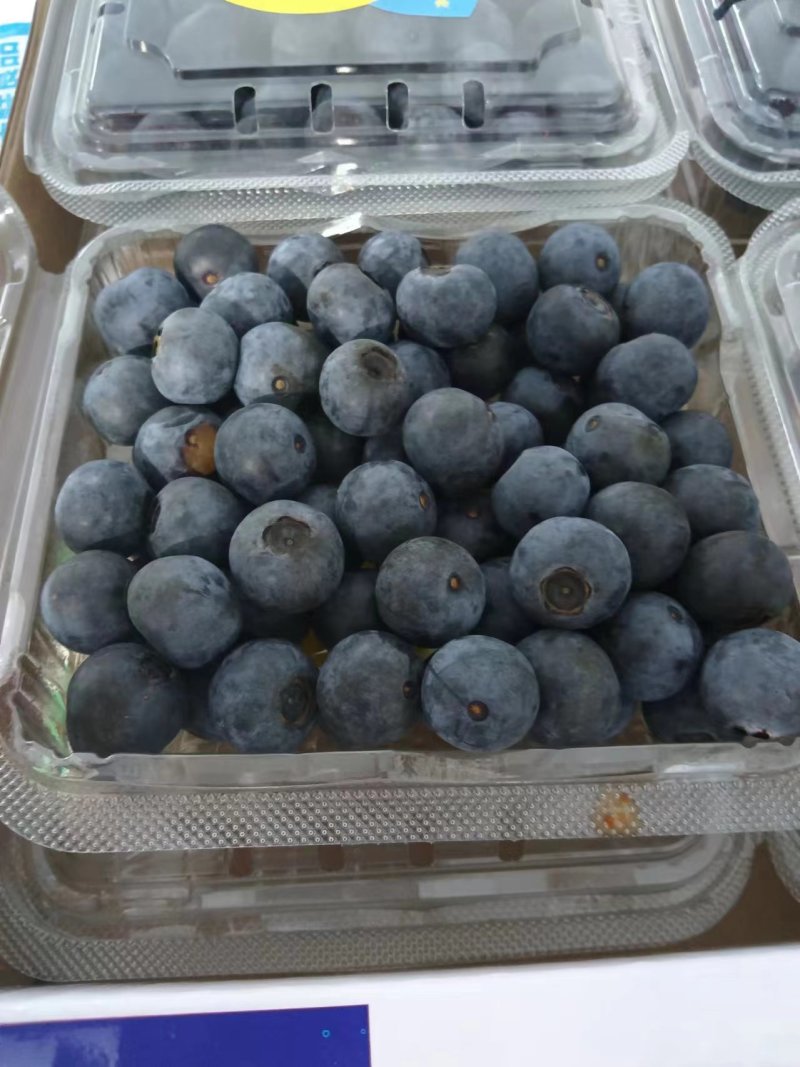 蓝莓鲜果精包装产基地地一件代发顺风包邮包售后量大电联