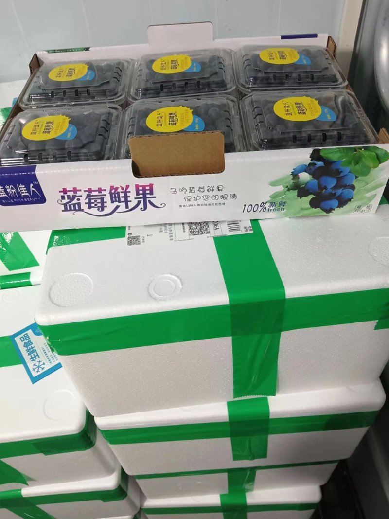 蓝莓鲜果精包装产基地地一件代发顺风包邮包售后量大电联