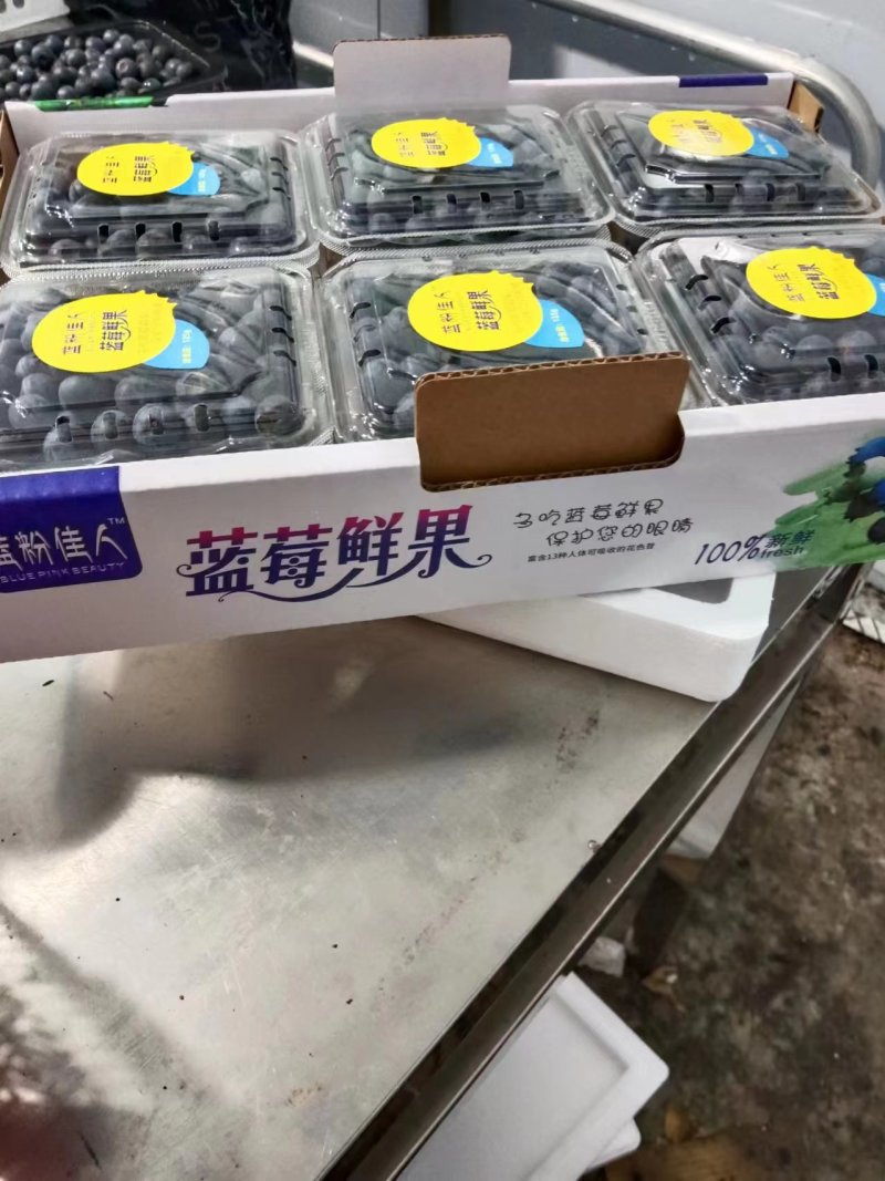 蓝莓鲜果精包装产基地地一件代发顺风包邮包售后量大电联