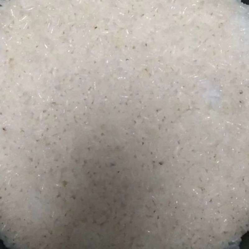 上海市松江区松江大米1013松早香一号