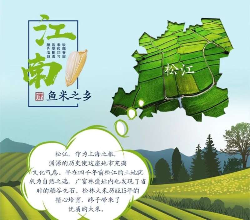 上海市松江区松江大米1013松早香一号