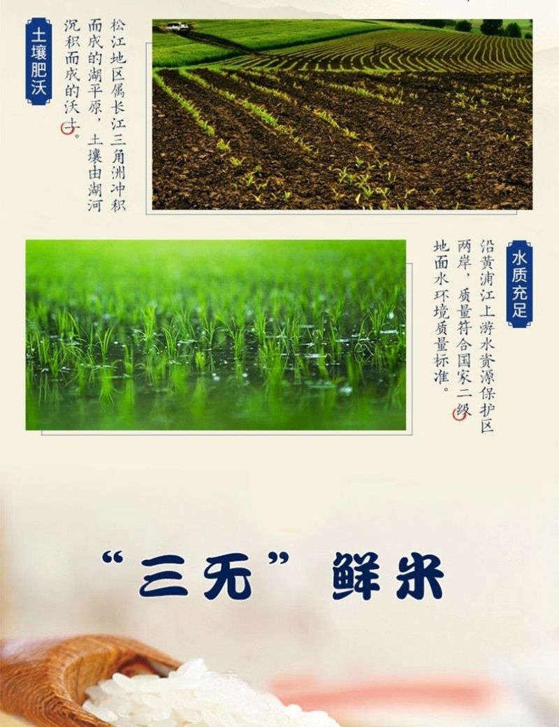 上海市松江区松江大米1013松早香一号
