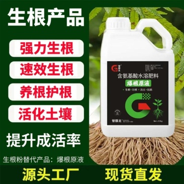 根多苗壮生根促长生根剂强力生根水溶肥爆根原液