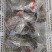 鳄鱼养殖场，手续齐全！