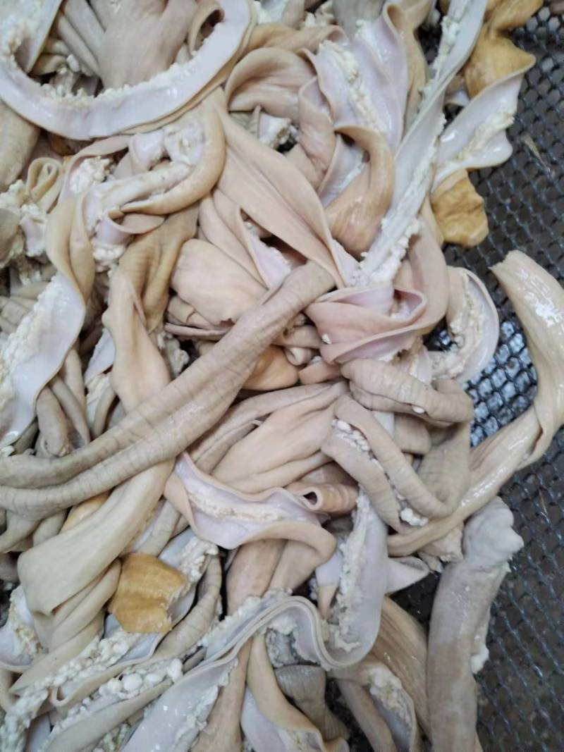 精品熟牛肠质量保证量大价优欢迎老板来电下单