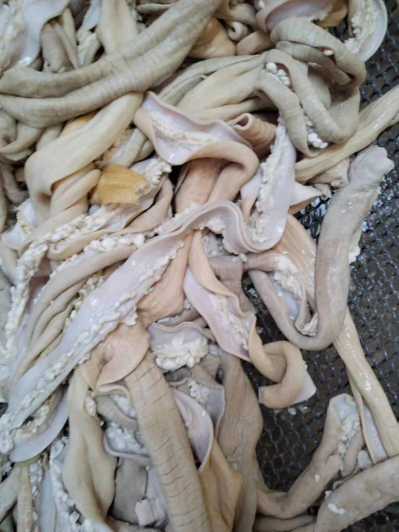 精品熟牛肠质量保证量大价优欢迎老板来电下单