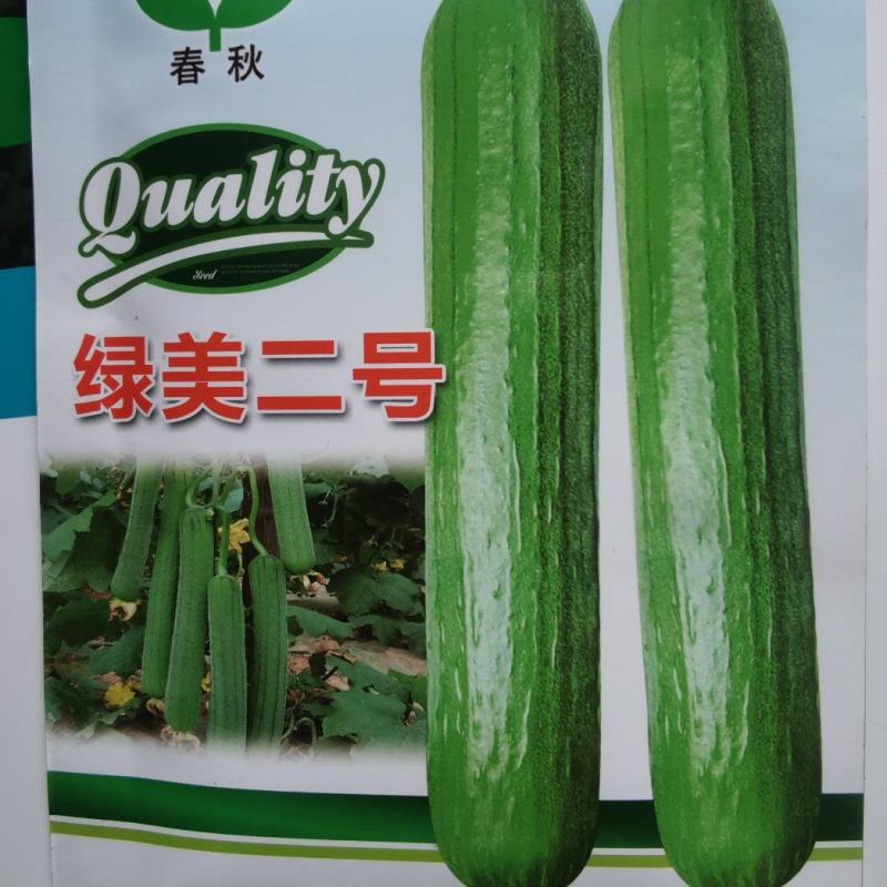 油亮丝瓜种子绿美二号瓜条顺直油亮瓜码密易种好管理