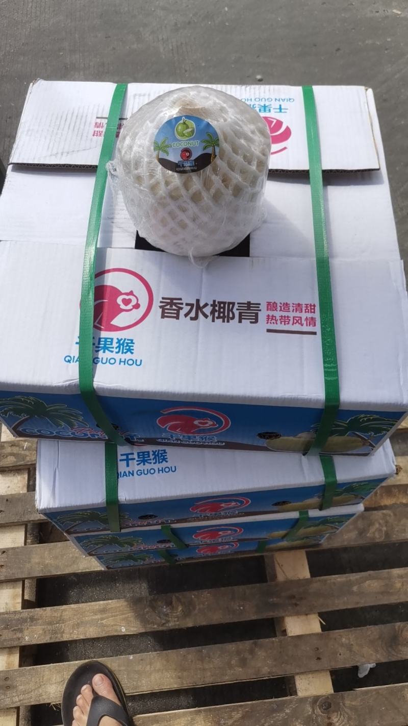 香水椰青