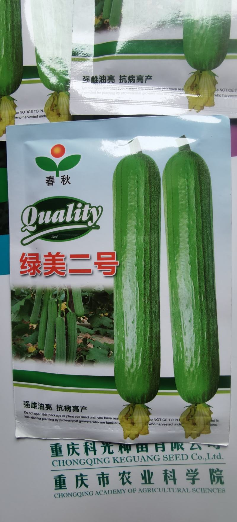 油亮丝瓜种子绿美二号瓜条顺直油亮瓜码密易种好管理