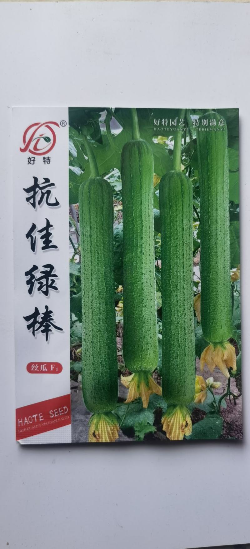 肉丝瓜种子抗佳绿棒早熟青绿色结瓜早产瓜条顺直高产
