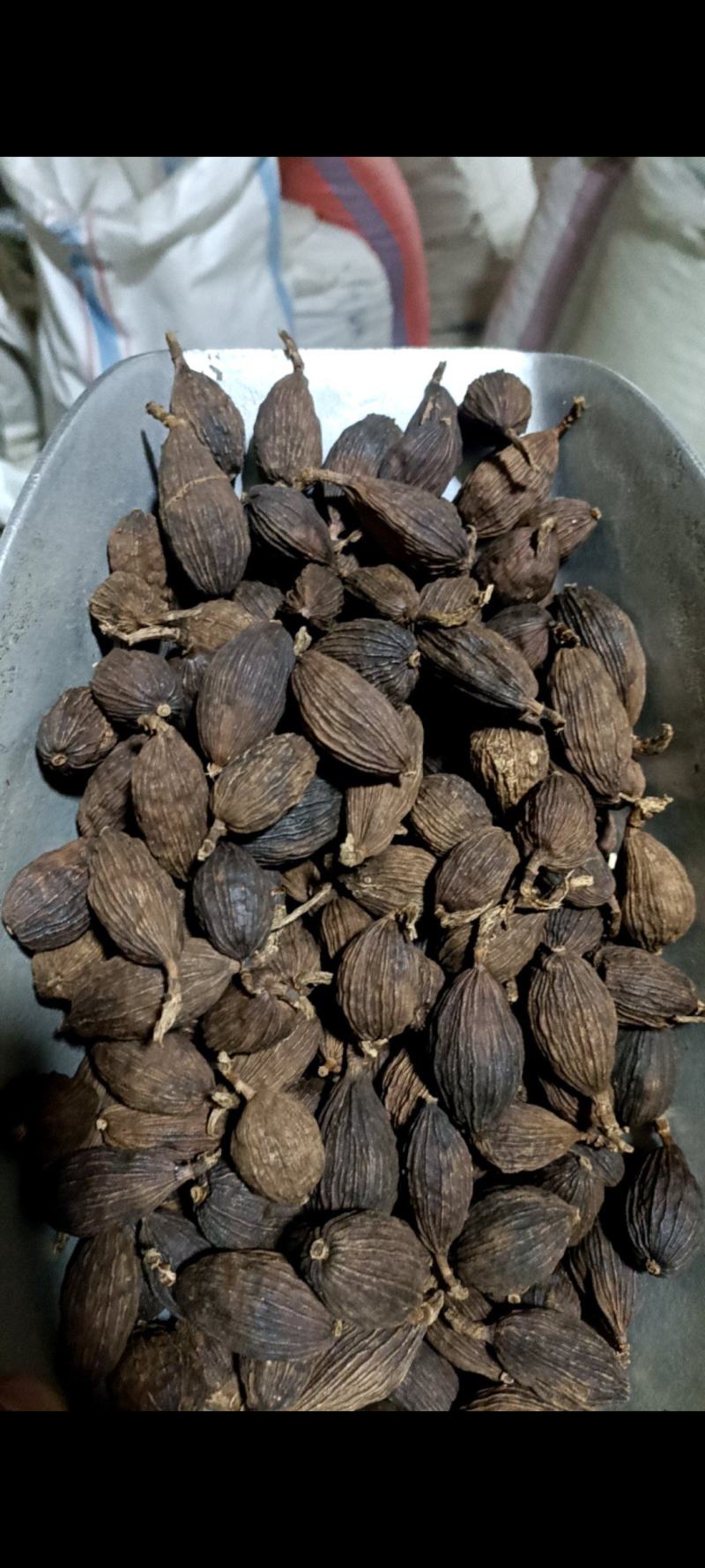 草果好好