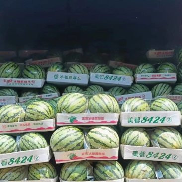 麒麟西瓜/8424/云南麒麟/承接电商，欢迎讨扰