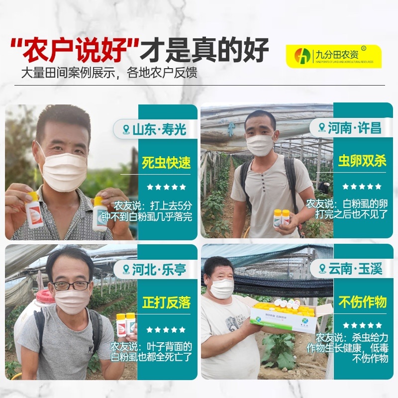 九分田白粉虱专用辣椒西红柿茄子花卉白粉虱农药杀虫剂
