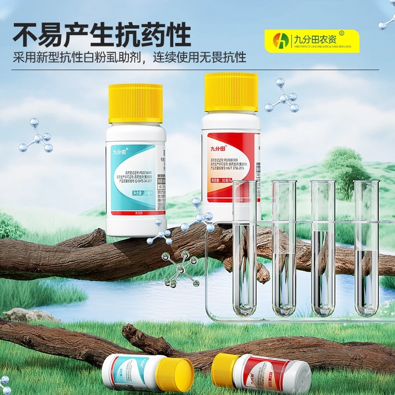 九分田白粉虱专用辣椒西红柿茄子花卉白粉虱农药杀虫剂