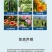 九分田白粉虱专用辣椒西红柿茄子花卉白粉虱农药杀虫剂