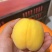 江苏徐州黄桃大量上市，价格美丽，独自嫁接技术口味独特