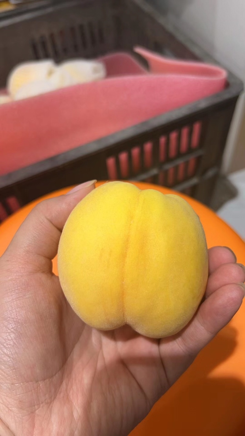 江苏徐州黄桃大量上市，价格美丽，独自嫁接技术口味独特