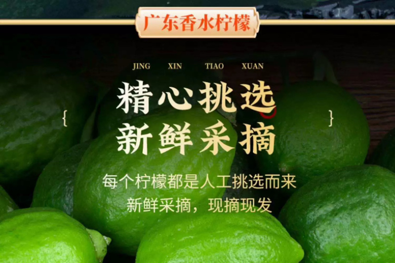 广东香水柠檬新鲜一级果无籽青柠檬奶茶店专用自家果园直销