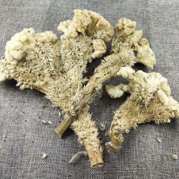 中药材鸡冠花白鸡冠花