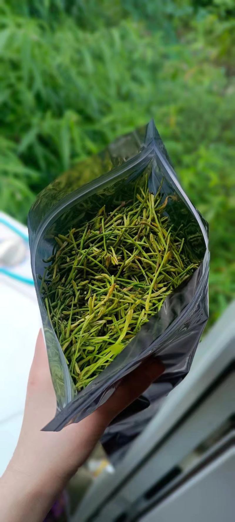 四季金银花茶花，无农药无硫，品质保证产地直发，一手货源