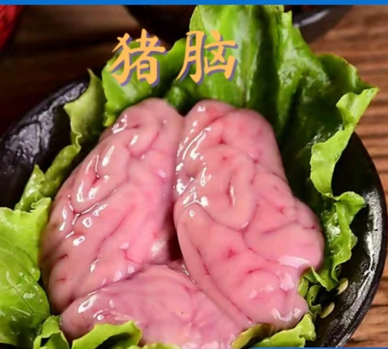 新鲜冷冻猪脑花96副优质大猪脑子猪脑髓餐馆火锅串串烧