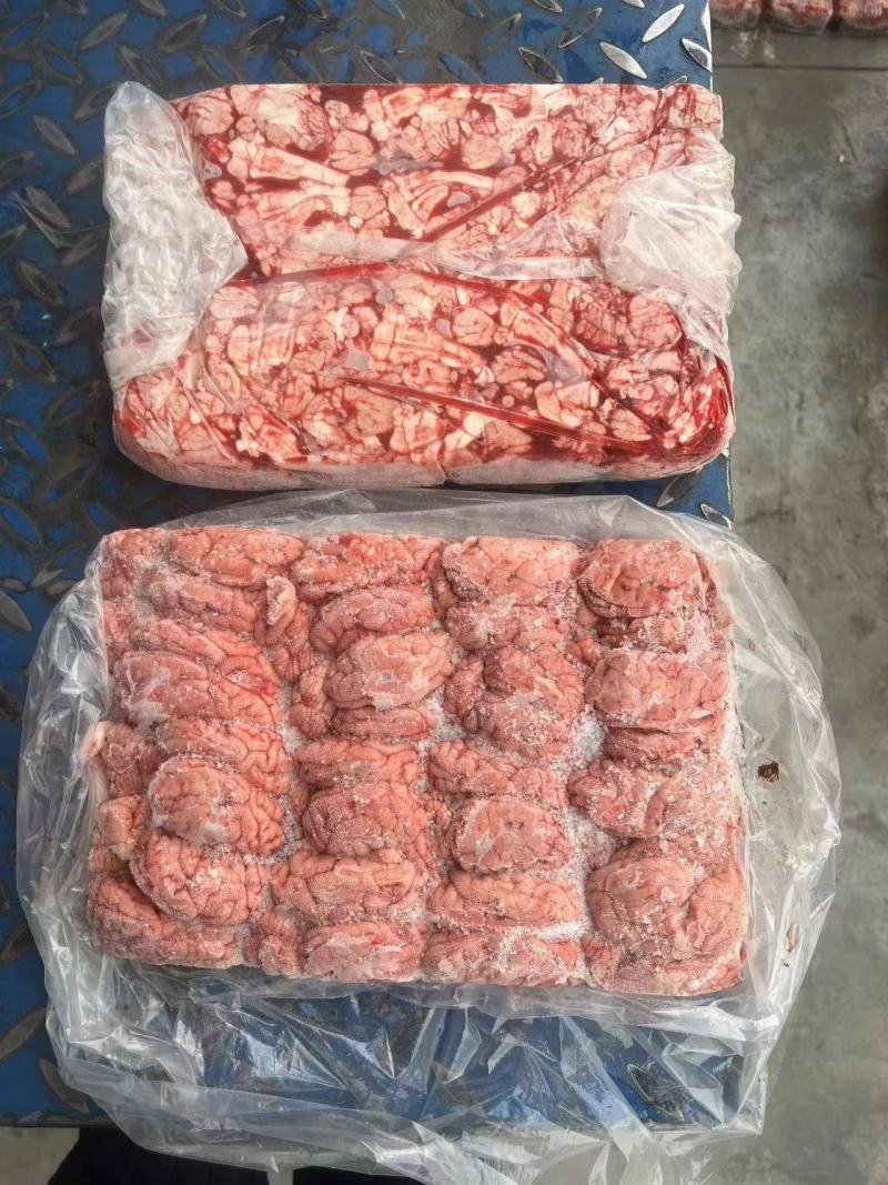 新鲜冷冻猪脑花96副优质大猪脑子猪脑髓餐馆火锅串串烧