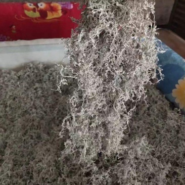 厂家直销