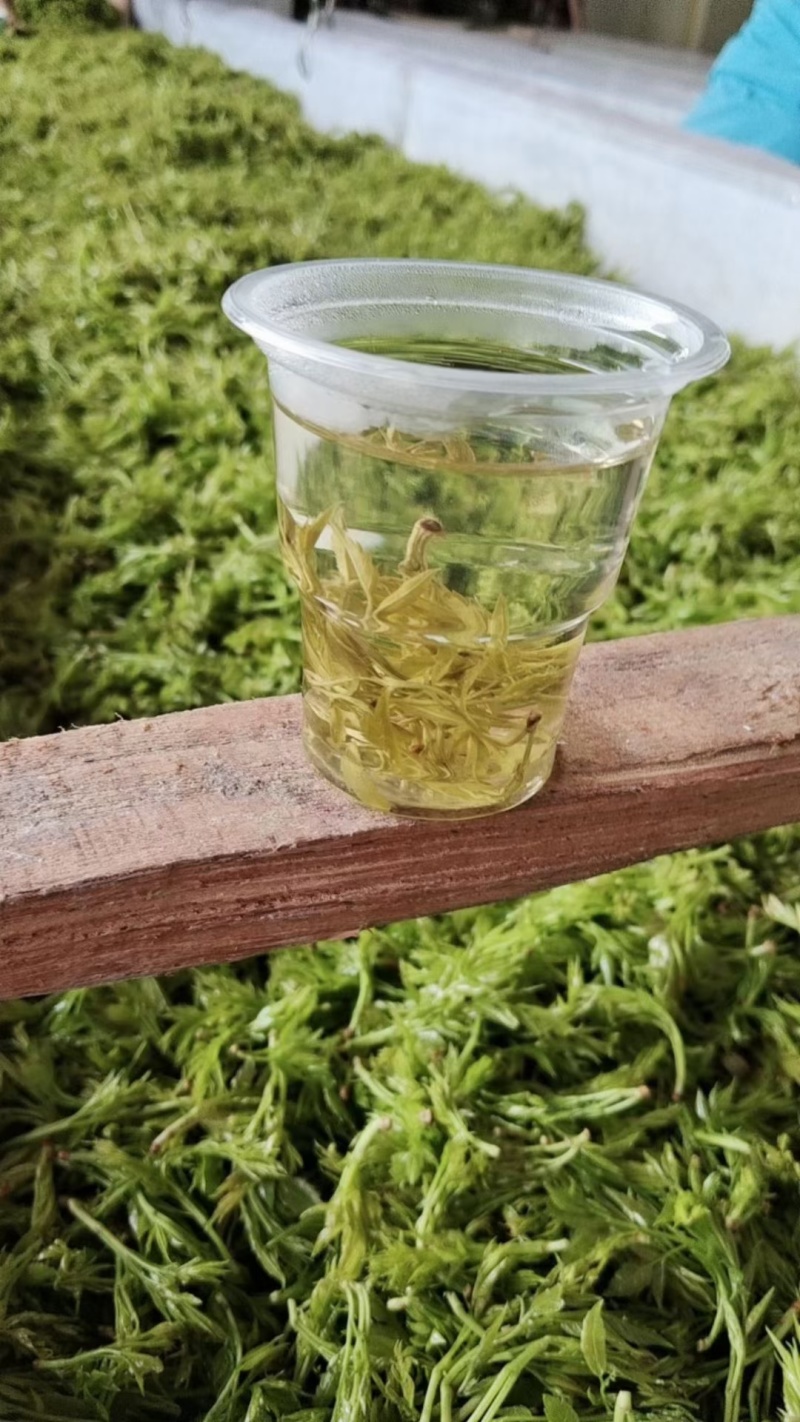 厂家直销