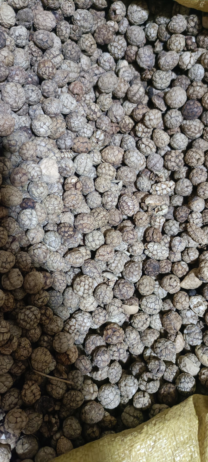 统货中草蔻