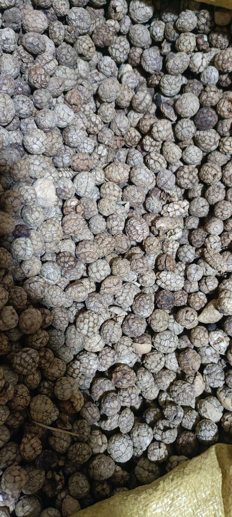 统货中草蔻