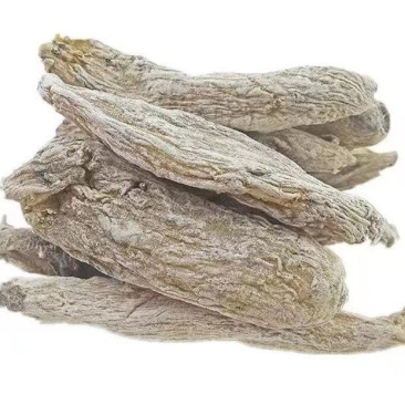 紫茉莉花根中药材紫茉莉根茉莉花根紫茉莉根入地老