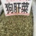 狗肝菜