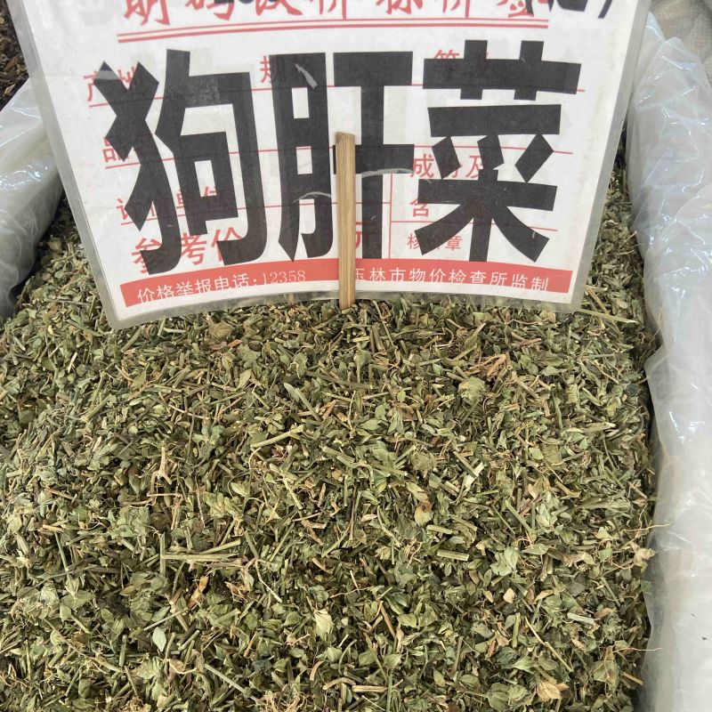 狗肝菜