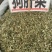 狗肝菜