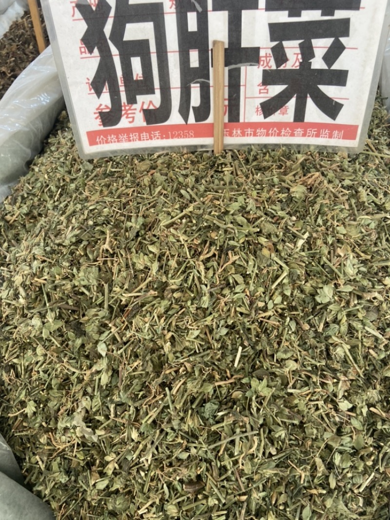 狗肝菜