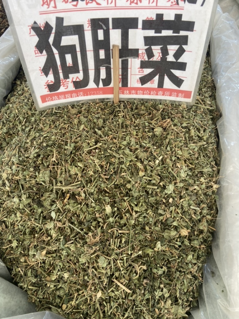 狗肝菜