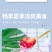 白凉粉批发100g一袋