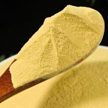 中药材松花粉马尾松花粉