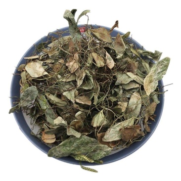 抱石莲中药材枹树莲飞莲草干货瓜子菜
