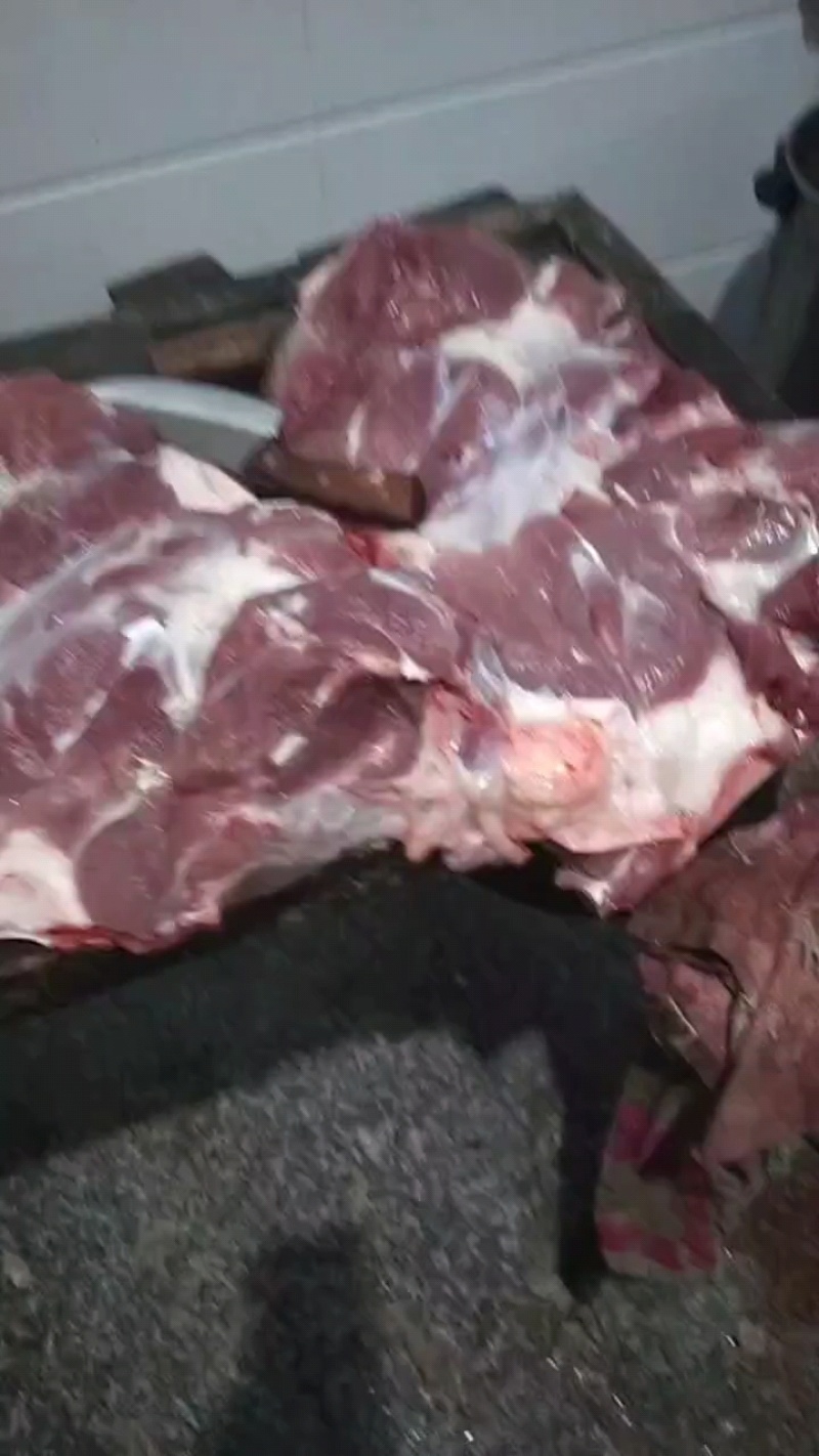 三元猪前腿肉