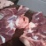 三元猪前腿肉