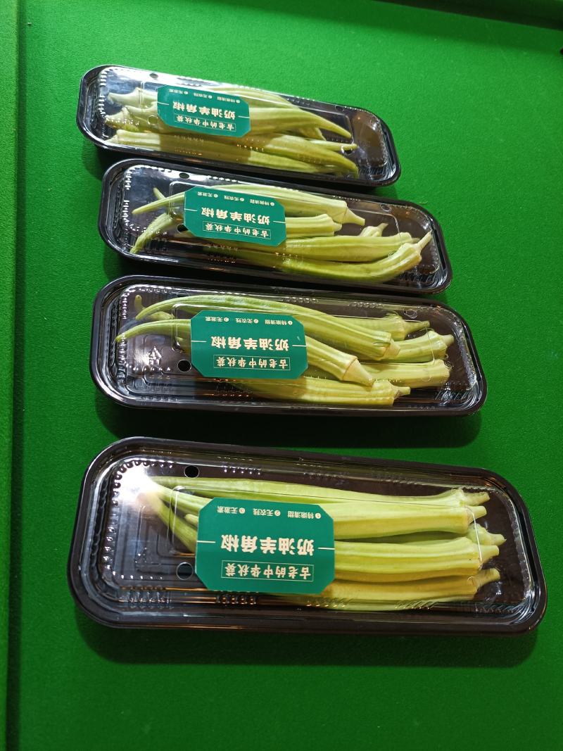 奶油皇后秋葵）清甜脆嫩，无刺无渣，**种植