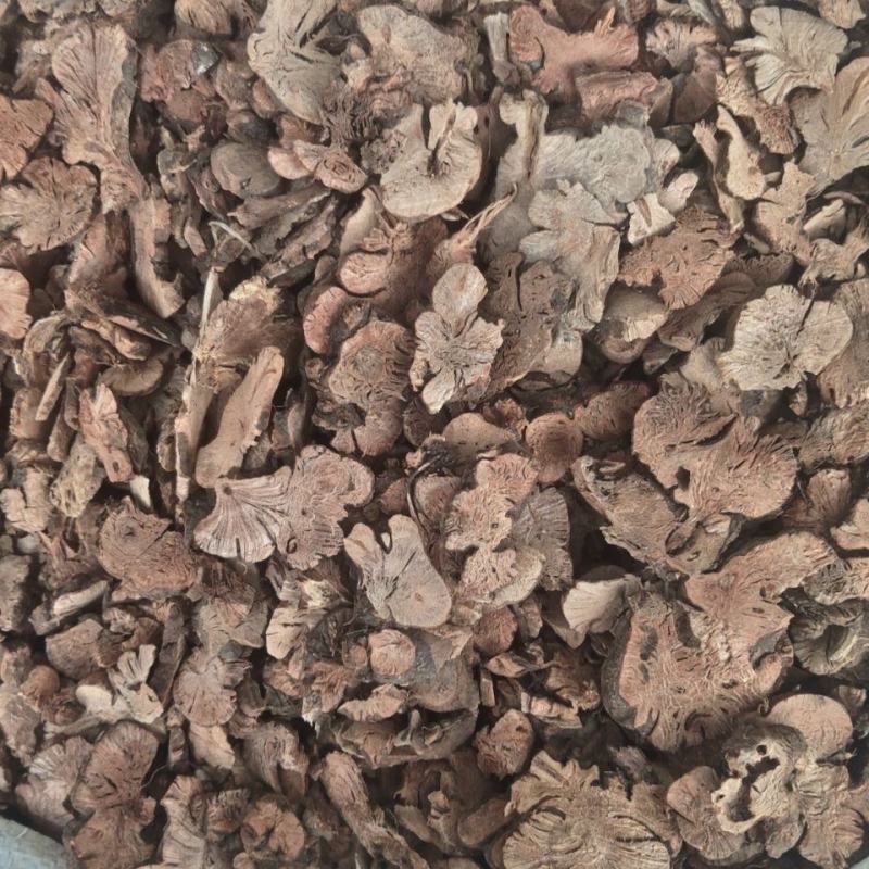 金荞麦中药材开金锁无硫正品新货金荞麦根片