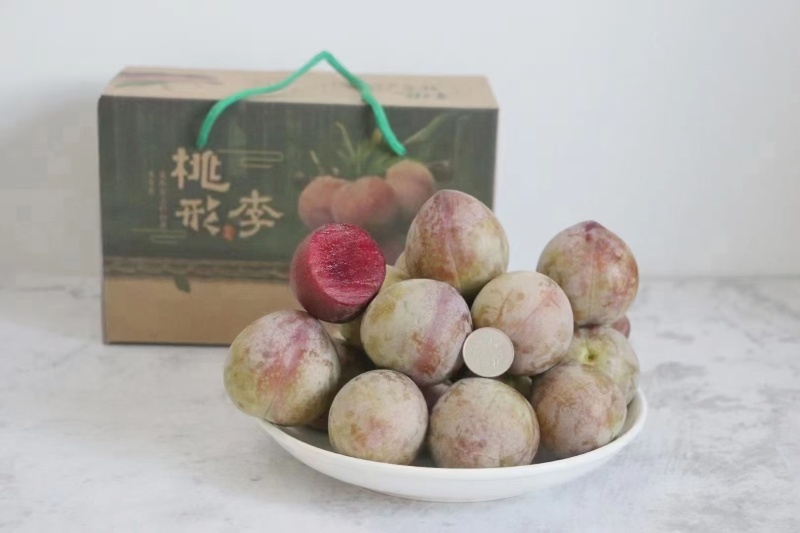 浙江桃形李酷似桃子翠甜爽口，7月初上市，量大质保