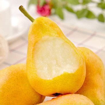 山东烟台太婆梨