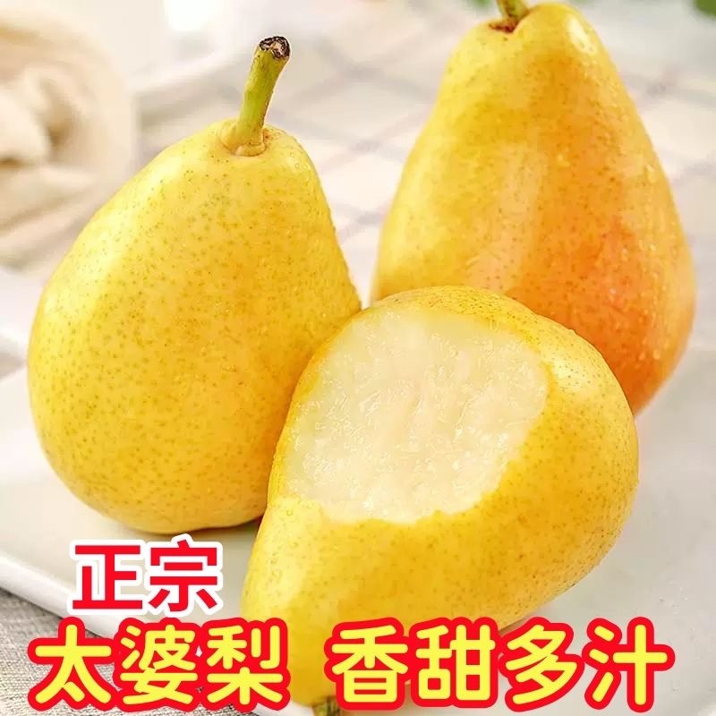 山东烟台太婆梨