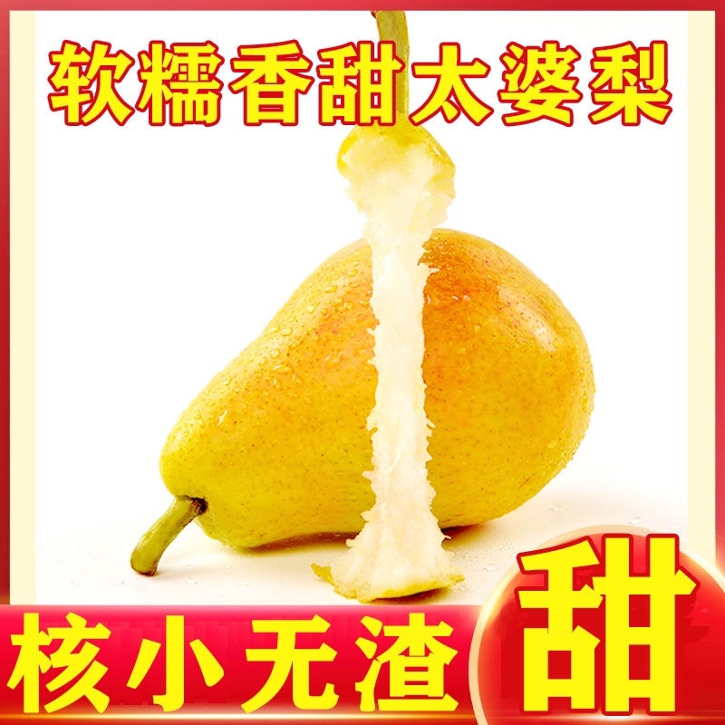 山东烟台太婆梨