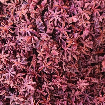 干八角春花干八角春花八角品质好